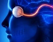 BG brainspotting therapy counseling
